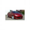 Peugeot 206CC Streetfighter St�tf�ngare