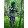 Maskeraddr�kt Zebra